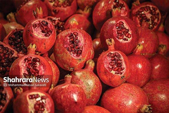 قیمت امروز میوه و تره بار در مشهد (۲۲ آبان ۱۴۰۴) | اختلاف بیش از ۶۰ هزار تومانی قیمت انار در تره‌بار و بازار