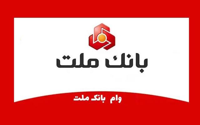 چگونه بدون ضامن و با ۴۸ ماه بازپرداخت وام بگیریم!