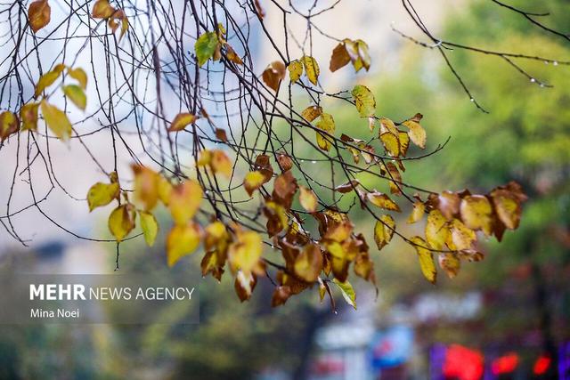 صابری: دمای هوای آذربایجان غربی کاهش می یابد؛ احتمال بارش باران و برف