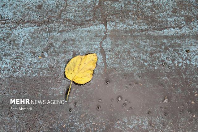 رحمان نیا: هشدار زرد هواشناسی در زنجان برای هفته آینده صادر شد