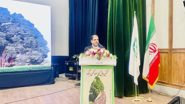 تلاش برای ثبت جهانی سرو ابرکوه