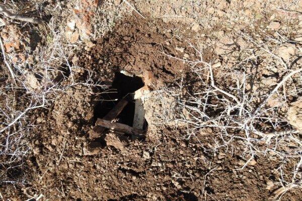 عملیات پاکسازی پارک ملی بوجاق از تله‌های شکارچیان غیرمجاز