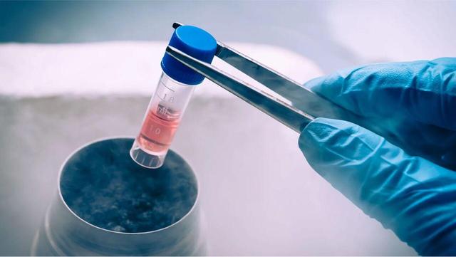 توقف زمان؛ فریز آرزوی مادر شدن