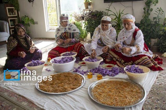 جشنواره زعفران خراسان‌شمالی؛ از رونمایی کتاب تا قرارداد ۱۰ میلیاردی برای بذر