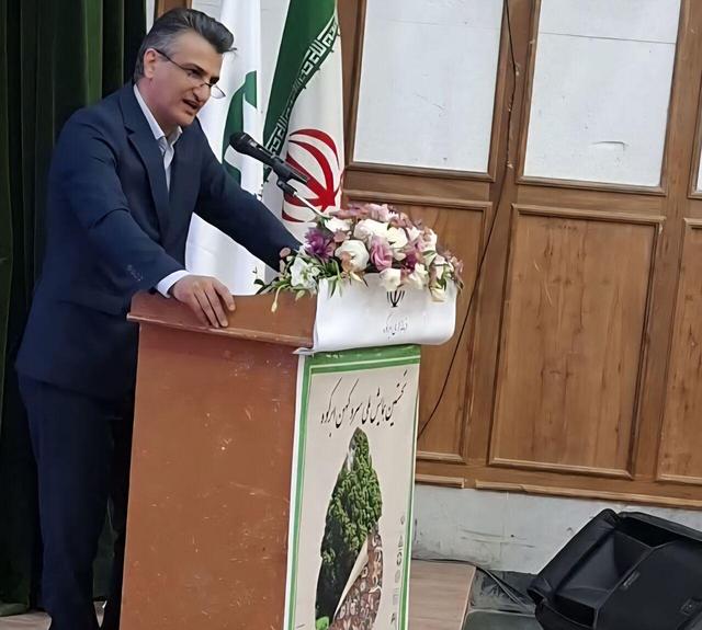 معاون سازمان محیط زیست: سرو ابرکوه یزد، هویت ملی ایران است