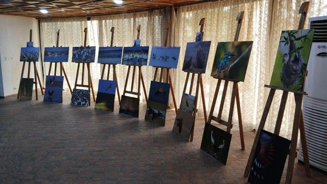 حیات وحشِ ایران از نگاه «پسر طبیعت»