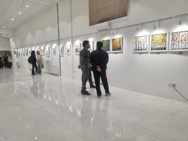 فیلم| برپایی نمایشگاه انفرادی «آب و رنگ» در مشهد