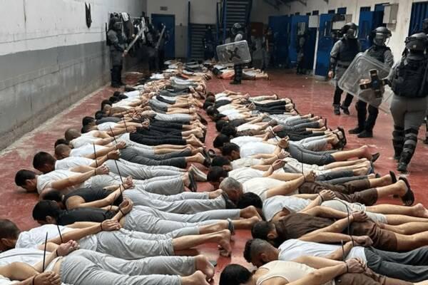 اسرائیلی‌ها اعضای بدن اسرای فلسطینی را سرقت می‌کنند!