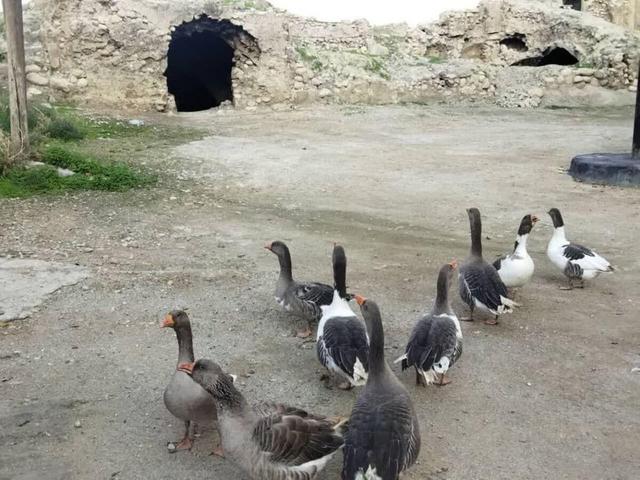 بیم و امیدهای توسعه روستاهای کهگیلویه و بویراحمد