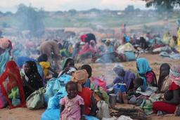 در مورد نقض حقوق بشر در سودان فورا تحقیق شود