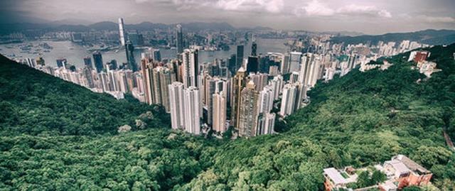 شهرهایی که جهان را سرسبزتر کرده‌اند