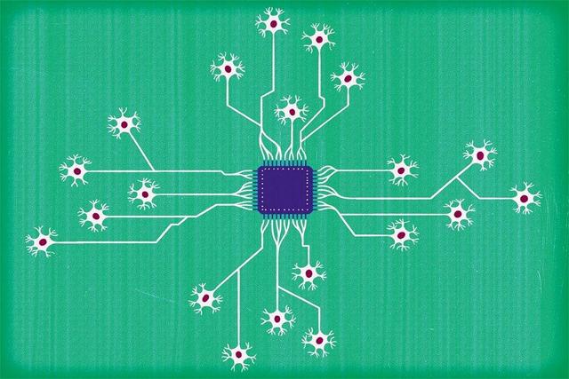 از رایانه‌هایی که با سلول‌های مغز انسان کار می‌کنند، چه می‌دانید؟