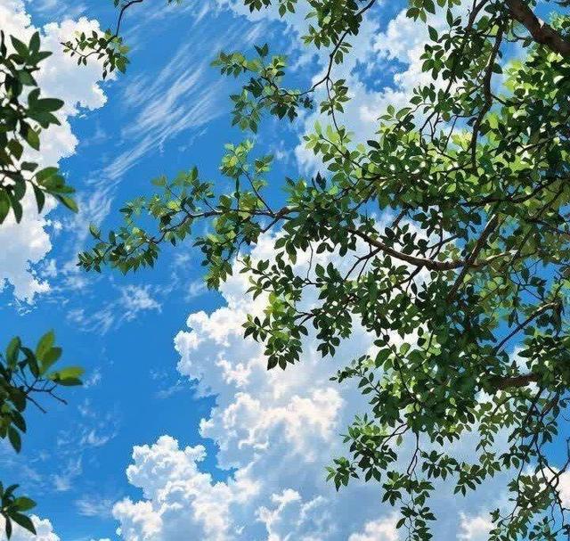 پایداری نسبی هوای مازندران در هفته آینده