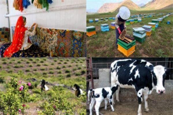 پیگیری مجلس از بانک مرکزی جهت تسریع در پرداخت وام اشتغال مددجویان