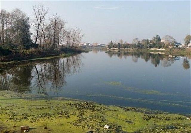 نقش تالاب‌ها در حفظ اکوسیستم/ هشدار کارشناسان برای انقراض گونه‌ها