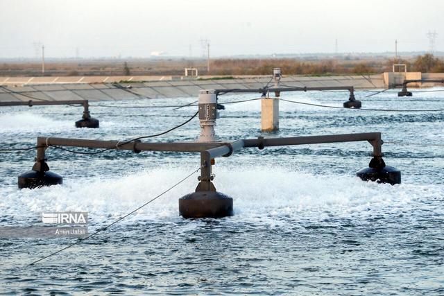 صدای پای آب و پژواک پیشرفت در چندقدمی‌ «کرمان برفراز»