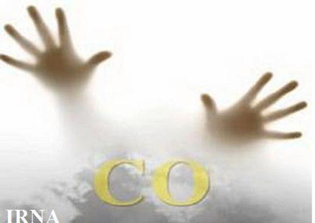 گاز گرفتگی هشت نفر از اهالی روستایی در مشهد