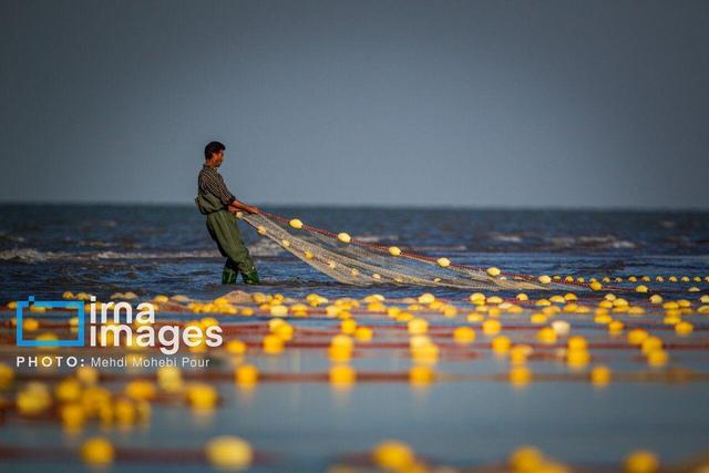 ۳۵۰ تن انواع ماهیان استخوانی از دریای مازندران صید شد