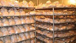 صادرات ۷۰ درصد گوشت مرغ تولید شده در خراسان جنوبی به سایر استان‌ها