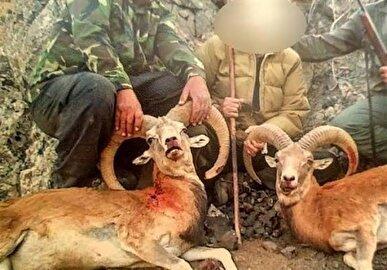 دستگیری شکارچیان سابقهدار کل وحشی در ارتفاعات کوه دیل گچساران