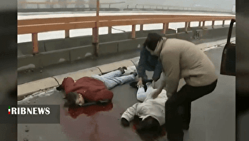 شکارگاه سارایوو، تقاطع ثروتمندان غربی و جان