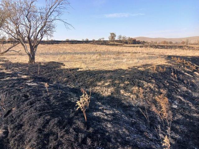 رئیس منابع طبیعی : اراضی ملی و مراتع روستای «اُردکلو» ملایر از حریق در امان مانده‌اند 