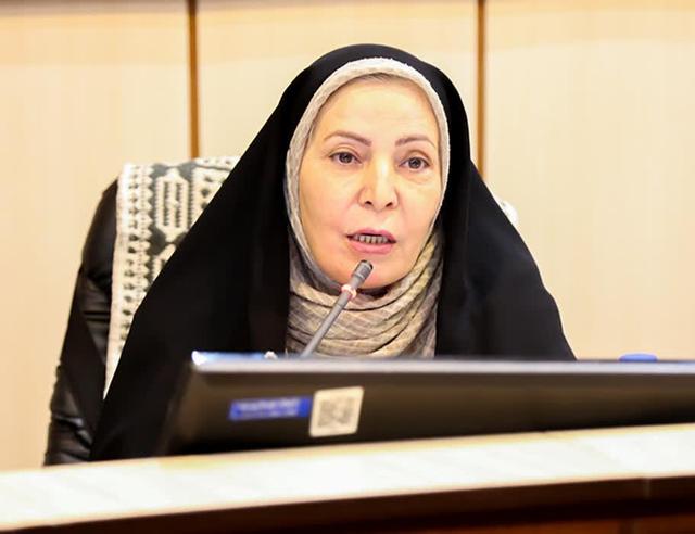 عضو شورای شهر: استفاده درست از ظرفیت بافت تاریخی یزد میتواند الگوی ملی باشد