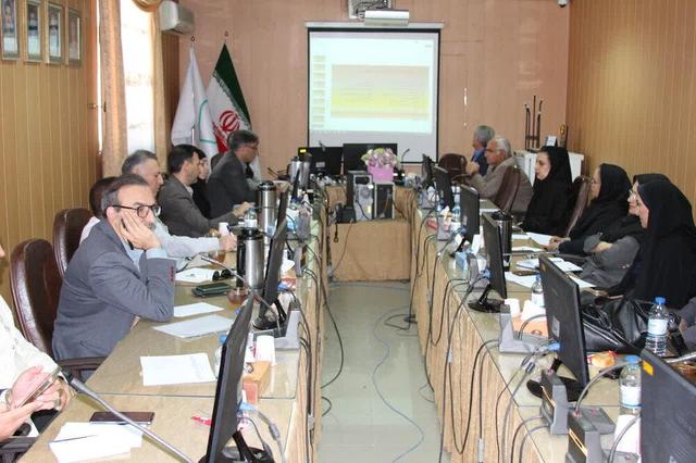 امنیت غذایی، زیربنای توسعه پایدار/دسترسی مردم به غذای کافی و سالم حق اساسی جامعه است