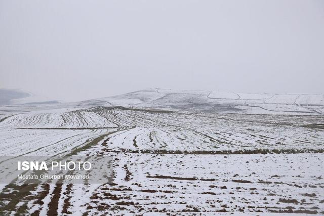 افزایش ناپایداری و احتمال بارش برف در زنجان