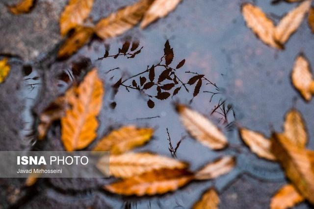 احتمال بارش خفیف و پراکنده در برخی نقاط فارس/ روند تغییرات دما افزایشی است