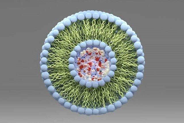 استانداردسازی فناوری نانو در حوزه نانولیپوزومها و ارزیابی ایمنی نانومواد