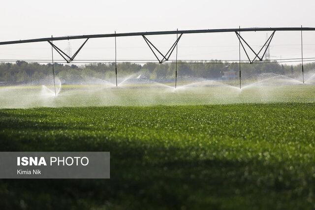 عضو کمیسیون کشاورزی مجلس: ۲۴ درصد اراضی کشاورزی لرستان آبی هستند