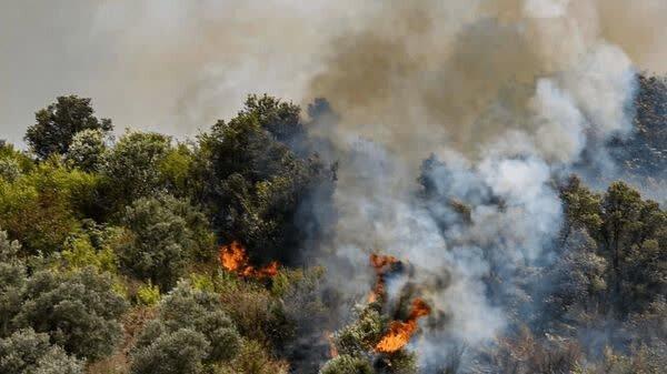 آتش در مرتع «پیکمر» آمل خاموش شد