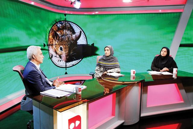 موش های باهوش تهران از کجا آمده اند؟