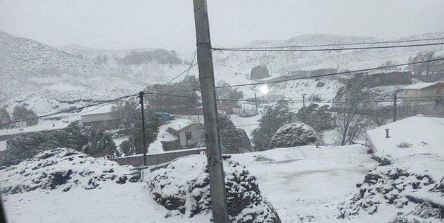 برف هم آمد | آغاز بارش برف در کشور + ۲ ویدئو