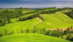 تاکید استاندار مازندران بر ممنوعیت واگذاری اراضی ملی به اشخاص برای سرمایه‌گذاری