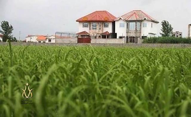 ۲۶ هکتار از اراضی کشاورزی فردیس آزاد سازی شد