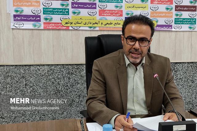 تداخل اراضی ۴ پلاک در شهرستان تنگستان پس از یک دهه تعیین‌تکلیف شد