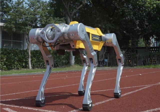 درخشش علمی نوجوانان قشم در رقابت‌های بین‌المللی رباتیک ۲۰۲۵