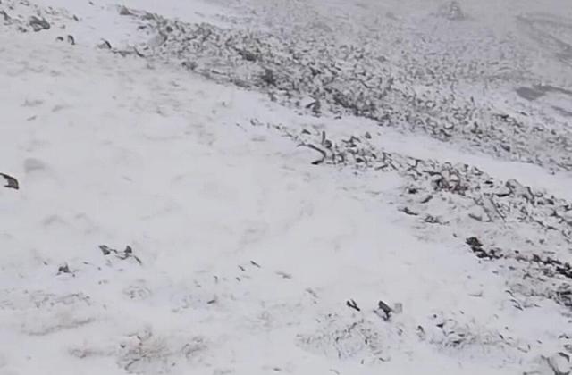 پیش‌بینی بارش برف در ارتفاعات لرستان