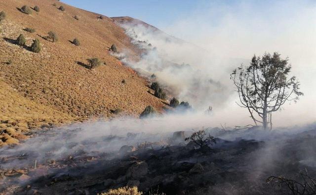 مهار آتش‌سوزی در اراضی جنگلی افراتخته و شیرین‌آباد