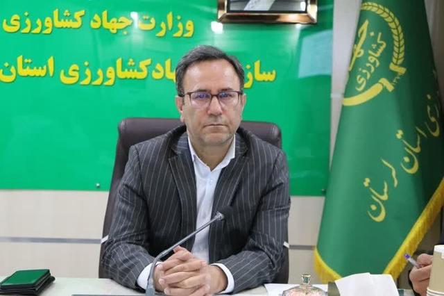 خسارت ۱۱ همتی خشکسالی به بخش کشاورزی لرستان