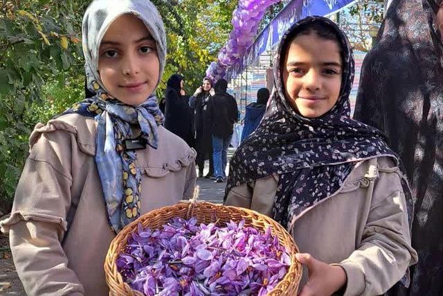 برگزاری دومین جشنواره زعفران در روستای علوی کاشان