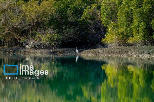 سیریک؛ نگینی‌ پنهان در نوار ساحلی مَکُران