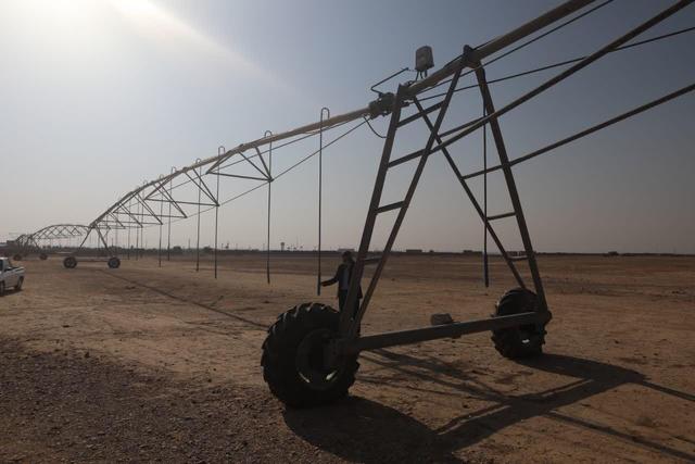 سامانه گرمسیری، مسیری تازه برای رشد اقتصاد کشاورزی ایلام