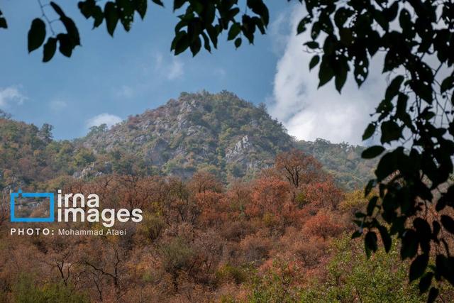 فیلم| کارگاهی برای شناخت اکوسیستم هیرکانی در رامسر