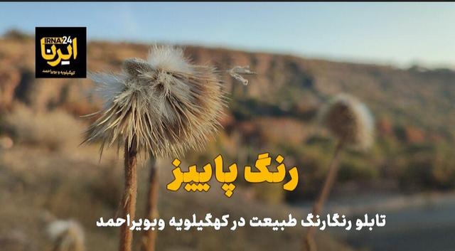 فیلم | رنگ پاییز کهگیلویه و بویراحمد