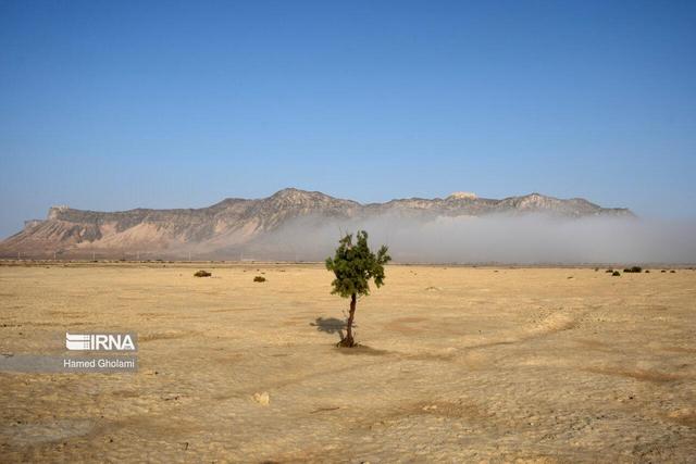 تغییر اقلیم یک مساله فانتزی نیست/ عدم حضور در اجلاس تغییر اقلیم خودتحریمی است