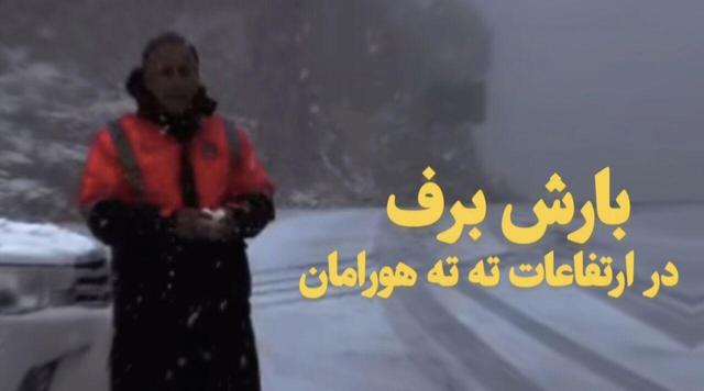 فیلم| بارش برف در ارتفاعات تته هورامان