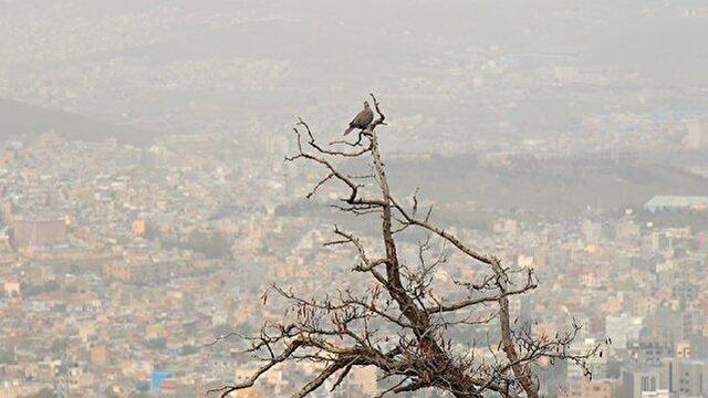 هوای ۲۰ شهر خوزستان زیر سایه آلودگی